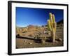 Landscape, Bolivian Desert, Bolivia-Massimo Borchi-Framed Photographic Print