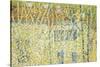 Landscape, c.1906-Kasimir Malevich-Stretched Canvas