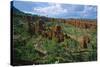 Landscape called Little New York, Ethiopia-null-Stretched Canvas