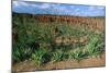 Landscape called Little New York, Ethiopia-null-Mounted Art Print