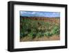 Landscape called Little New York, Ethiopia-null-Framed Art Print