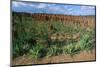 Landscape called Little New York, Ethiopia-null-Mounted Art Print
