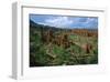 Landscape called Little New York, Ethiopia-null-Framed Art Print