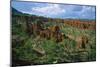 Landscape called Little New York, Ethiopia-null-Mounted Art Print
