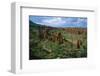 Landscape called Little New York, Ethiopia-null-Framed Art Print