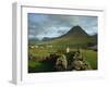 Landscape Containing Dry Stone Walls and a Small Settlement, Faroe Islands, Denmark, Europe-Woolfitt Adam-Framed Photographic Print