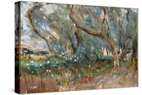 Landscape, Corfu, 1909-John Singer Sargent-Stretched Canvas