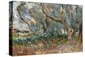 Landscape, Corfu, 1909-John Singer Sargent-Stretched Canvas