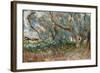 Landscape, Corfu, 1909-John Singer Sargent-Framed Giclee Print