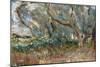 Landscape, Corfu, 1909-Eug?ne Boudin-Mounted Giclee Print