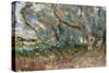 Landscape, Corfu, 1909-Eug?ne Boudin-Stretched Canvas