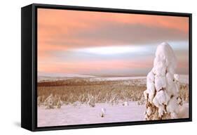 Landscape Covered in Snow, Lapland, Finland-Françoise Gaujour-Framed Stretched Canvas