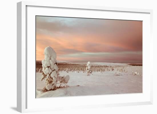 Landscape Covered in Snow, Lapland, Finland-Françoise Gaujour-Framed Photographic Print