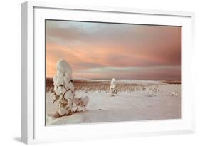 Landscape Covered in Snow, Lapland, Finland-Françoise Gaujour-Framed Photographic Print