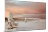 Landscape Covered in Snow, Lapland, Finland-Françoise Gaujour-Mounted Photographic Print