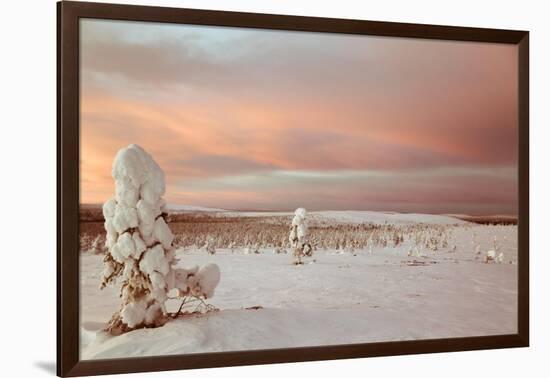 Landscape Covered in Snow, Lapland, Finland-Françoise Gaujour-Framed Photographic Print