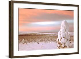 Landscape Covered in Snow, Lapland, Finland-Françoise Gaujour-Framed Photographic Print