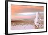 Landscape Covered in Snow, Lapland, Finland-Françoise Gaujour-Framed Photographic Print