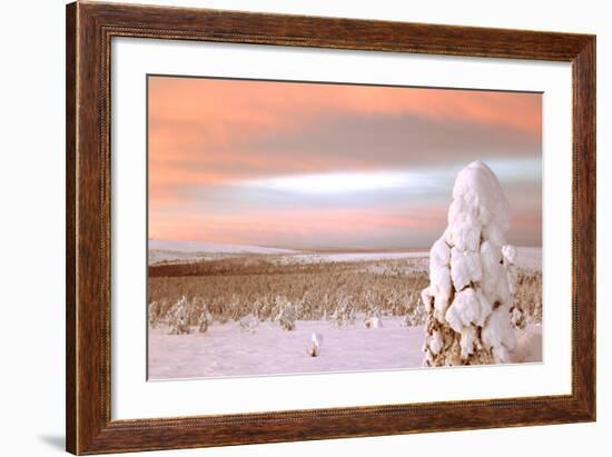 Landscape Covered in Snow, Lapland, Finland-Françoise Gaujour-Framed Photographic Print