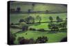 Landscape Cumbria-Charles Bowman-Stretched Canvas