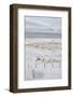 Landscape, Dalvik Area, Eyjafjšrdur, North Iceland-Julia Wellner-Framed Photographic Print