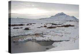 Landscape, Dalvik Area, Eyjafjšrdur, North Iceland-Julia Wellner-Stretched Canvas