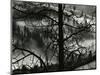 Landscape, Europe, 1968-Brett Weston-Mounted Photographic Print