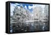 Landscape Forest and the Lake, Infrared Photo.-Nelson Charette-Framed Stretched Canvas