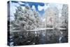Landscape Forest and the Lake, Infrared Photo.-Nelson Charette-Stretched Canvas