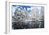 Landscape Forest and the Lake, Infrared Photo.-Nelson Charette-Framed Photographic Print