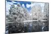 Landscape Forest and the Lake, Infrared Photo.-Nelson Charette-Mounted Photographic Print