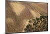 Landscape from above between Tel Aviv and Jerusalem.-Stefano Amantini-Mounted Photographic Print