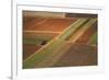 Landscape from above between Tel Aviv and Jerusalem.-Stefano Amantini-Framed Photographic Print