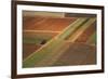 Landscape from above between Tel Aviv and Jerusalem.-Stefano Amantini-Framed Photographic Print