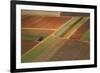 Landscape from above between Tel Aviv and Jerusalem.-Stefano Amantini-Framed Photographic Print