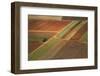 Landscape from above between Tel Aviv and Jerusalem.-Stefano Amantini-Framed Photographic Print