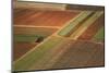 Landscape from above between Tel Aviv and Jerusalem.-Stefano Amantini-Mounted Photographic Print