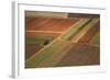 Landscape from above between Tel Aviv and Jerusalem.-Stefano Amantini-Framed Photographic Print