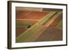 Landscape from above between Tel Aviv and Jerusalem.-Stefano Amantini-Framed Photographic Print