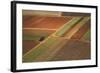 Landscape from above between Tel Aviv and Jerusalem.-Stefano Amantini-Framed Photographic Print