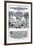 Landscape from 'India Orientalis', 1598-Theodore de Bry-Framed Giclee Print