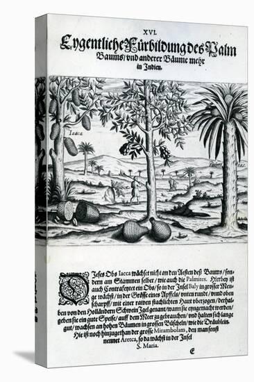 Landscape from 'India Orientalis', 1598-Theodore de Bry-Stretched Canvas