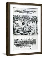 Landscape from 'India Orientalis', 1598-Theodore de Bry-Framed Giclee Print