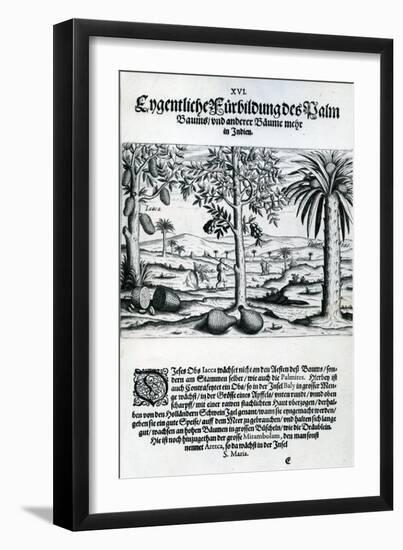 Landscape from 'India Orientalis', 1598-Theodore de Bry-Framed Giclee Print