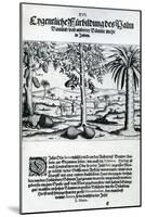 Landscape from 'India Orientalis', 1598-Theodore de Bry-Mounted Giclee Print