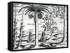 Landscape from 'India Orientalis', 1598-Theodore de Bry-Framed Stretched Canvas