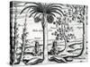 Landscape from 'India Orientalis', 1598-Theodore de Bry-Stretched Canvas