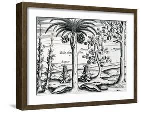 Landscape from 'India Orientalis', 1598-Theodore de Bry-Framed Giclee Print