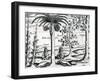 Landscape from 'India Orientalis', 1598-Theodore de Bry-Framed Giclee Print