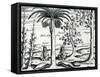 Landscape from 'India Orientalis', 1598-Theodore de Bry-Framed Stretched Canvas
